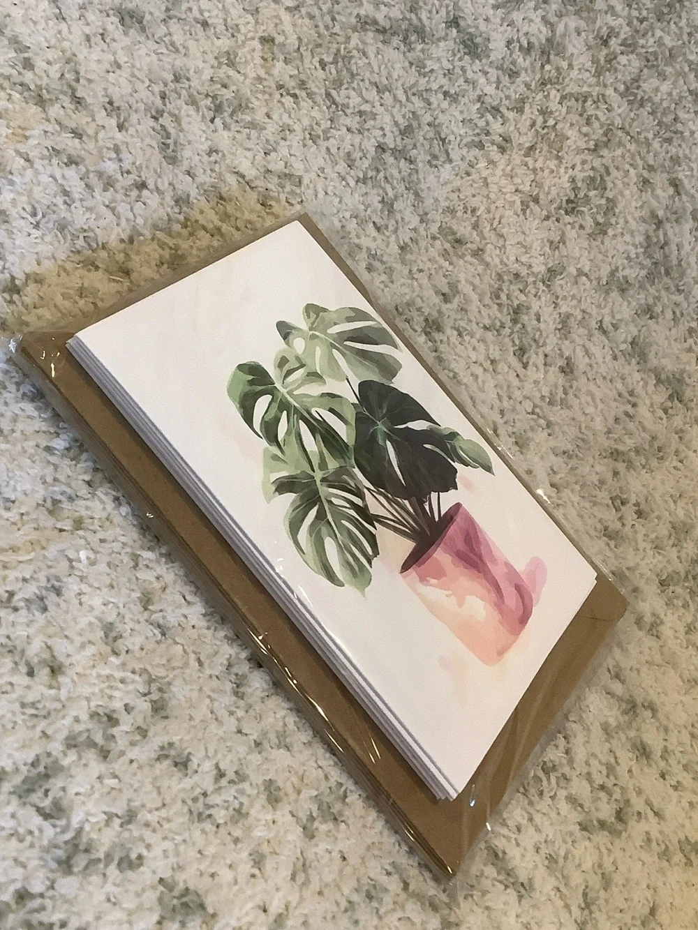 Potted Tropical Plants Note Cards Variety Pack Set of 6 Blank inside NWT HC